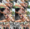 Evenement foto: Serie 2565
