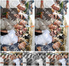Evenement foto: Serie 2565