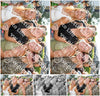 Evenement foto: Serie 2565