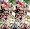 Evenement foto: Serie 2566