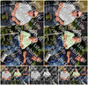 Evenement foto: Serie 2130