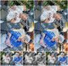 Evenement foto: Serie 2130