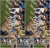 Evenement foto: Serie 2130