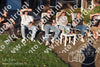 Evenement foto: Serie 2130