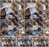 Evenement foto: Serie 2308