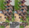 Evenement foto: Serie 2308