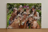 Evenement foto: Serie 2308