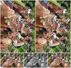 Evenement foto: Serie 2308
