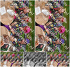 Evenement foto: Serie 2308