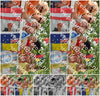 Evenement foto: Serie 2308