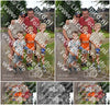 Evenement foto: Serie 2308
