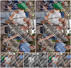 Evenement foto: Serie 2308