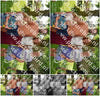 Evenement foto: Serie 2308