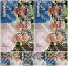 Evenement foto: Serie 2308