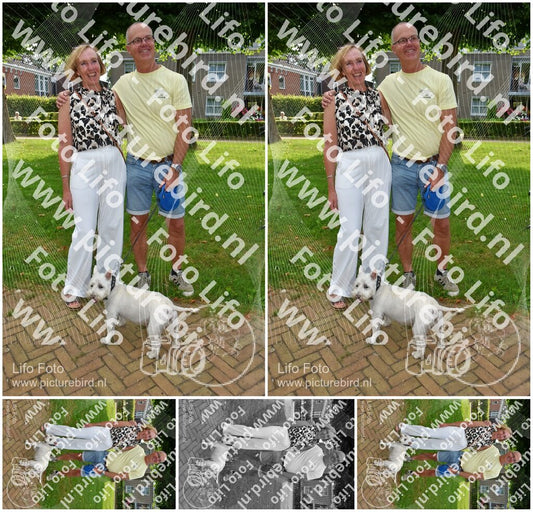 Evenement foto: Serie 2308