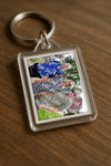 Evenement foto: Serie 2308
