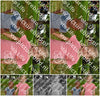 Evenement foto: Serie 2309
