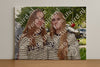 Evenement foto: Serie 2309