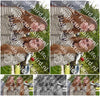 Evenement foto: Serie 2309
