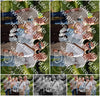 Evenement foto: Serie 2310