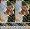 Evenement foto: Serie 2310