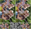 Evenement foto: Serie 2310