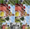 Evenement foto: Serie 2310