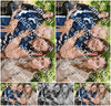 Evenement foto: Serie 2310