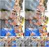 Evenement foto: Zomerfestival Serie 2573
