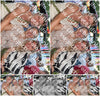 Evenement foto: EAH 2574