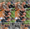 Evenement foto: EAH 2575
