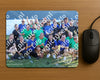 Evenement foto: Serie SHN 2605