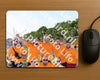 Evenement foto: Serie SHN 2605