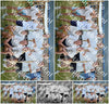 Evenement foto: Serie SHN 2605