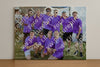 Evenement foto: Serie SHN 2605