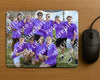 Evenement foto: Serie SHN 2605