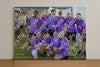 Evenement foto: Serie SHN 2605