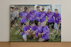 Evenement foto: Serie SHN 2605