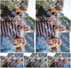 Evenement foto: Serie SHN 2605
