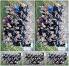 Evenement foto: Serie SHN 2605