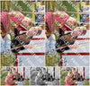 Evenement foto: Serie SHN 2605