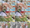 Evenement foto: Serie SHN 2605