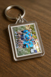 Evenement foto: Serie SHN 2605