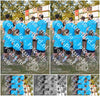 Evenement foto: Serie SHN 2605