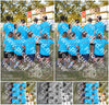 Evenement foto: Serie SHN 2605