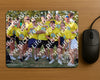 Evenement foto: Serie SHN 2605