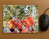 Evenement foto: Serie SHN 2606