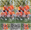Evenement foto: Serie SHN 2606