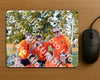 Evenement foto: Serie SHN 2606