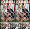 Evenement foto: Serie SHN 2606